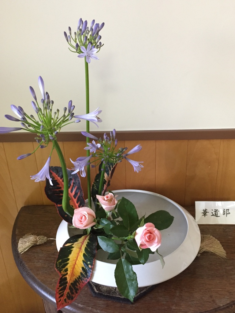 花材：アカパンサス、バラ、クロトン